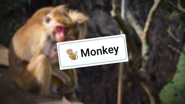 Infinite Craft Monkey block atop a background image showing a family of tan-colored monkeys sitting on a tree branch