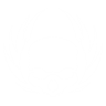 Perk Icon